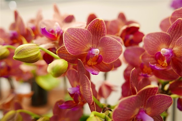 最新圣诞节祝福朋友的句子