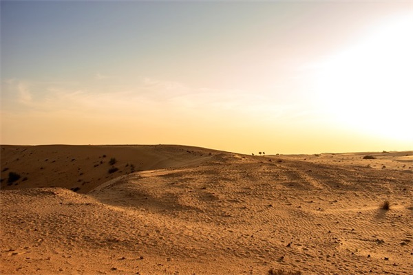 2024感恩节温馨祝福语文案（精选）