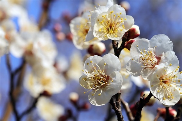 2024感恩节走心祝福语句子说说（精选）