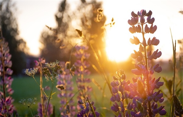 中秋节简洁文案说说祝福语（精选推荐）