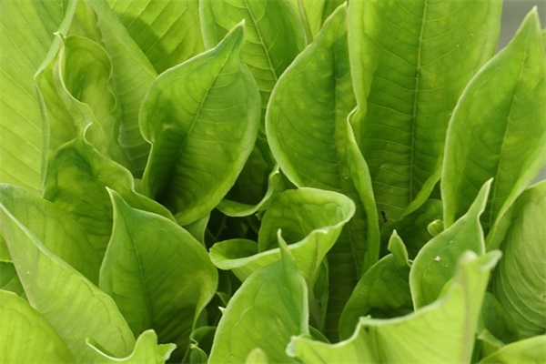 平安夜各种暖心话祝福语