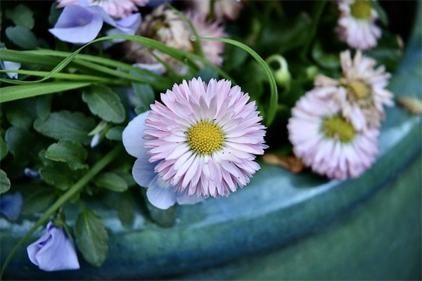 2024建党101周年简短祝福语（精选100句）