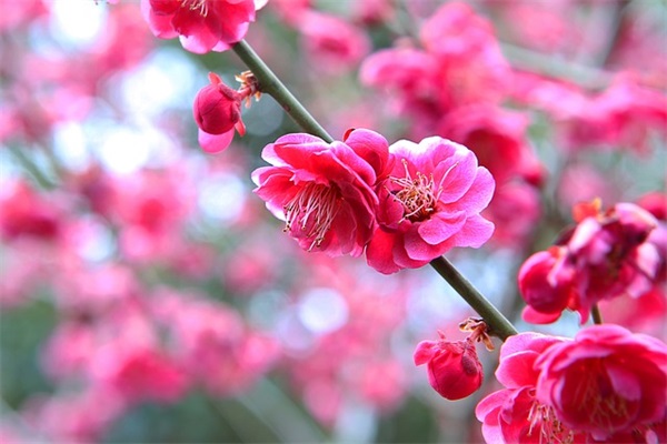 2024年秋天祝福语_秋天问候短信（精选100句）