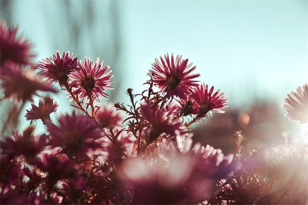 精选2024三八妇女节朋友圈祝福语