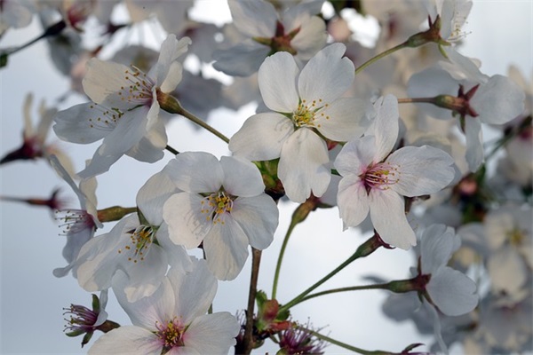 2024教师节温馨祝福语（精选推荐）