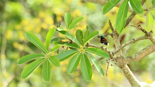 关于2024腊八节祝福语简短大全