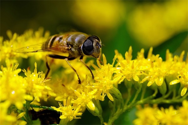 七夕祝福短信息摘抄大全（精选）