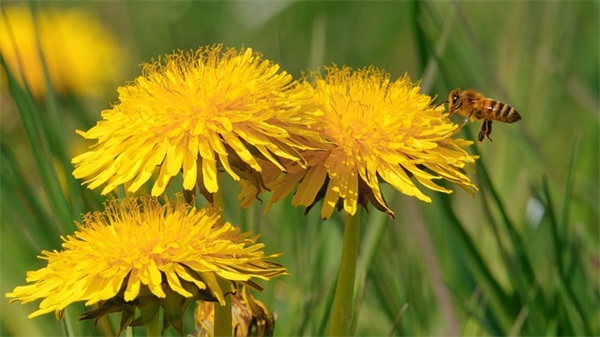 关于2024七夕节祝福语简短一句话