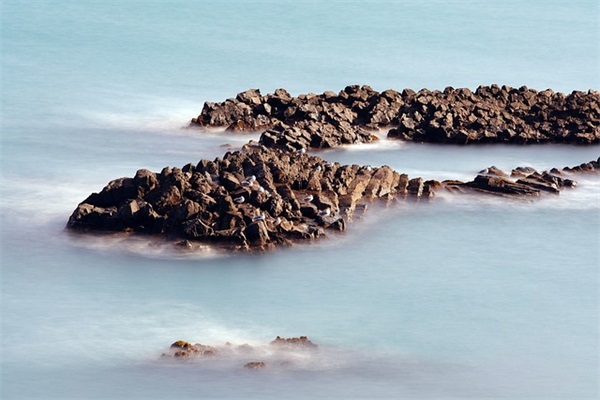 关于重阳节对老人的祝福语（100句）