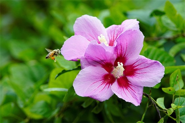 关于2024五一劳动节祝福短信100句