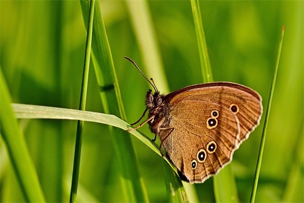 关于2024喜迎建党100年的祝福语
