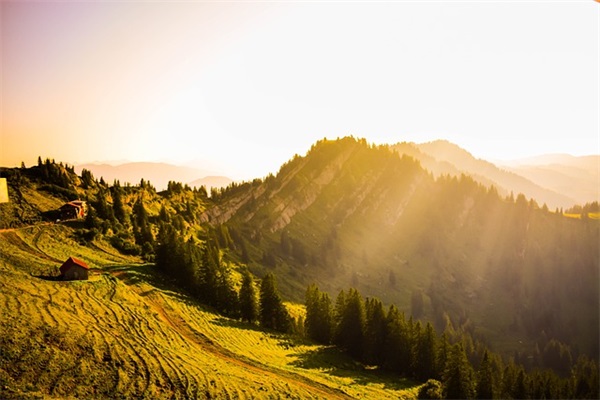 关于端午节暖心祝福寄语2024