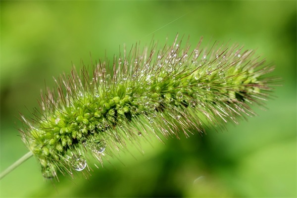 最新2024年冬至祝福语句子大全（精选推荐）