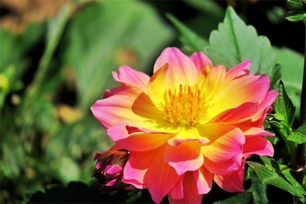 关于劳动节祝福语简短走心的文案2024