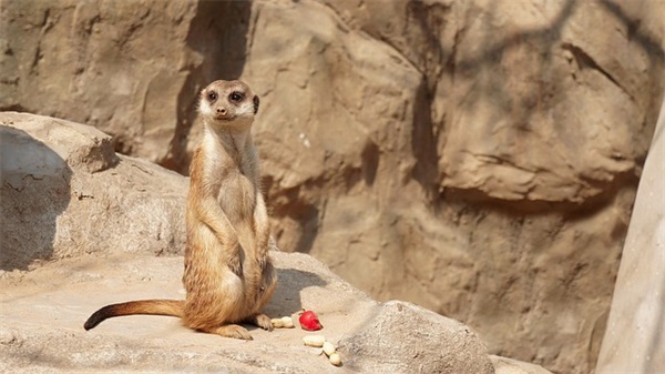 中秋节朋友圈祝福寄语（精选推荐）