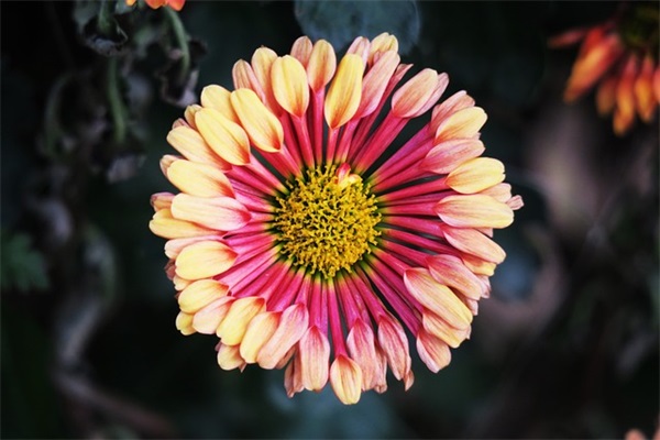 关于2024五一劳动节最新的经典祝福语