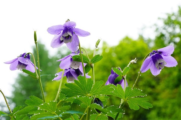 冬至祝福语简短精悍一句话2024