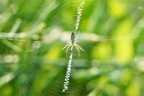 适合发朋友圈最火的除夕祝福语文案大全