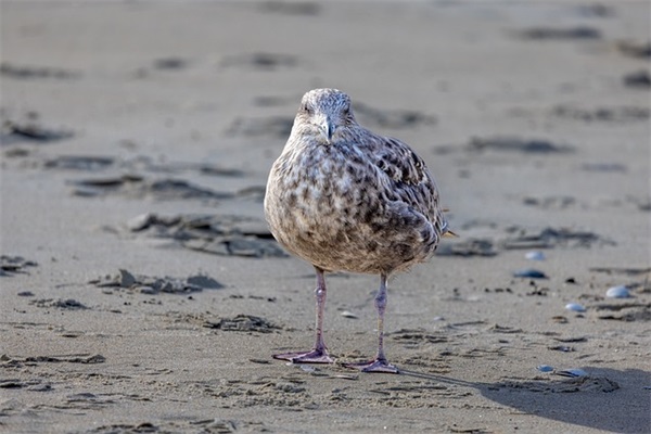 关于共青团建团100周年经典祝福语120句（精选）