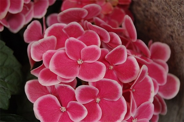 带吕欣怡的网名女