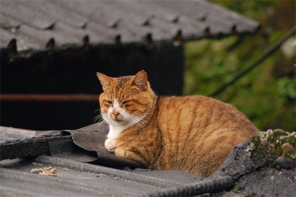 qq唯美英文网名