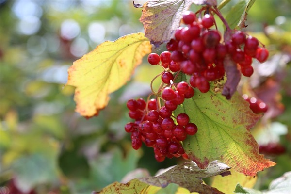 2025年qq男生伤感网名96句