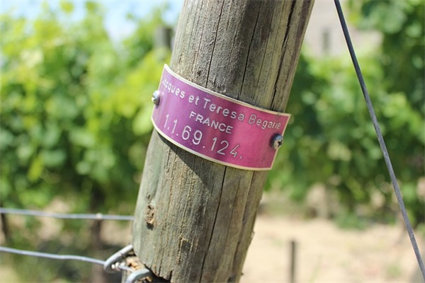 带晟字的公司名字