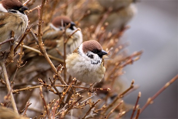 以悦字开头的公司名字