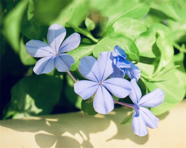 适合做软件公司的名字0个