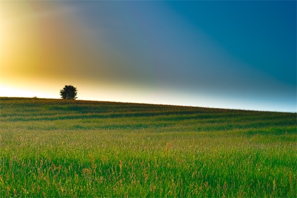 好听的房地产开发公司名称有哪些（精选800个）