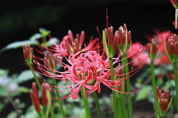 2024公司名字大全简单好听免费800个