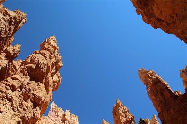 食品科技公司取名大全（精选800个）