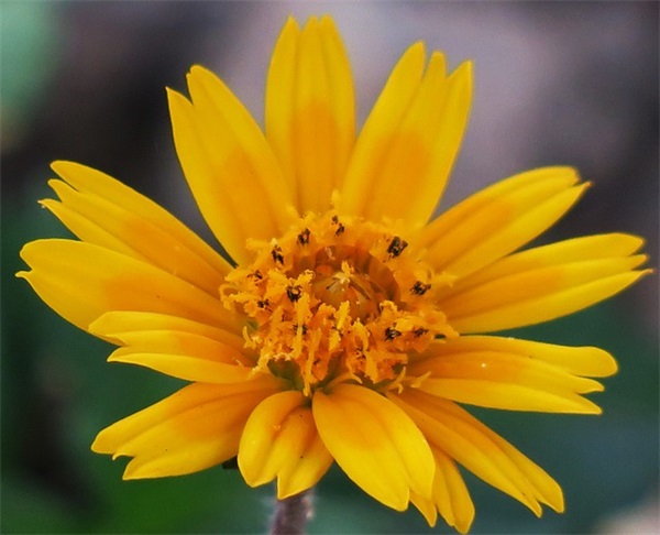 物业公司取名大全（精选800个）