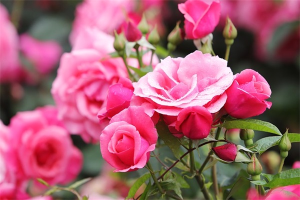 简单好记的记账公司名字