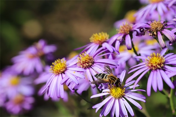 简洁好记的家纺公司名