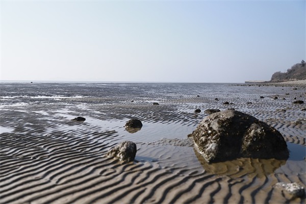 国际健康管理公司取名字大全