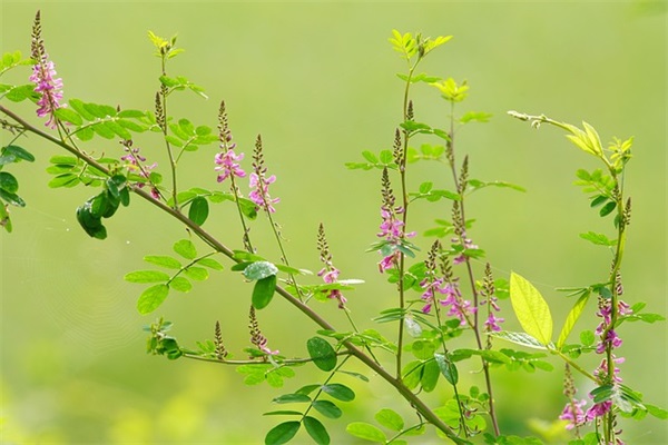 好听顺口的家居建材公司名称