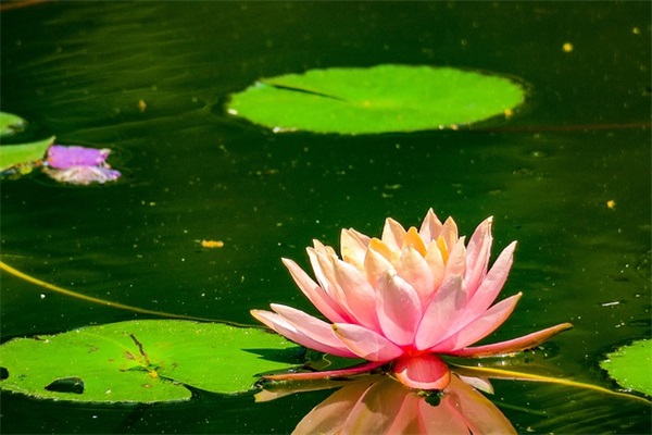 电力品牌起名和其他类型公司重复大全