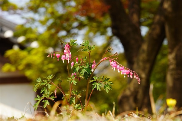 外贸公司取名字大全免费查询