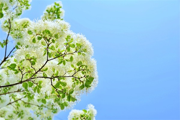 国际信息咨询公司大气起名