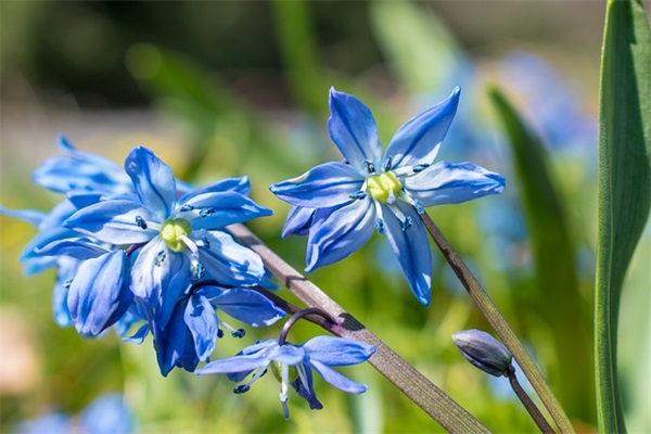 起个信息科技的公司名字