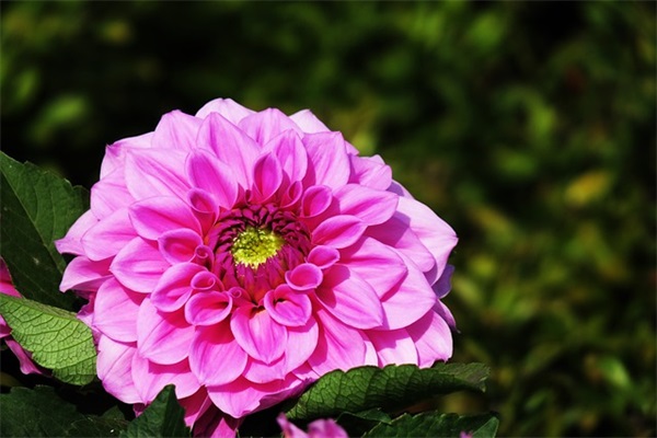 项目管理公司名称怎么起名