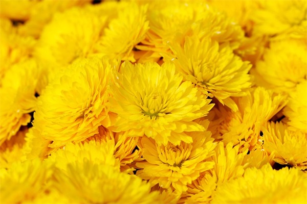 大气好听的水电安装公司取名大全