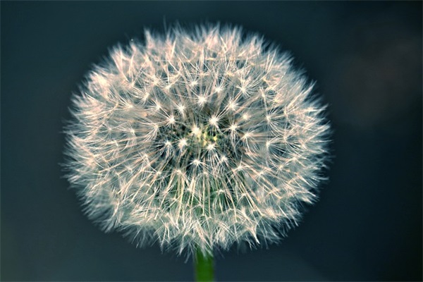 一生好运幸福发财女昵称(共848个)