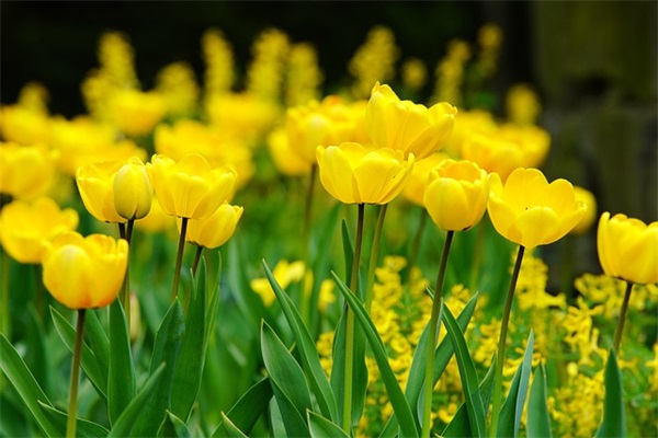 适合情侣用的网名(精选594对)