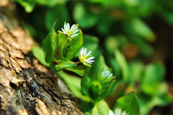 2025年网名大全男(共894个)