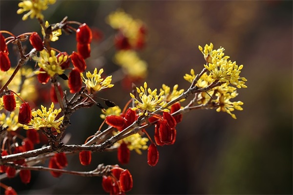 抖音网名大全2025最新版本(共707个)