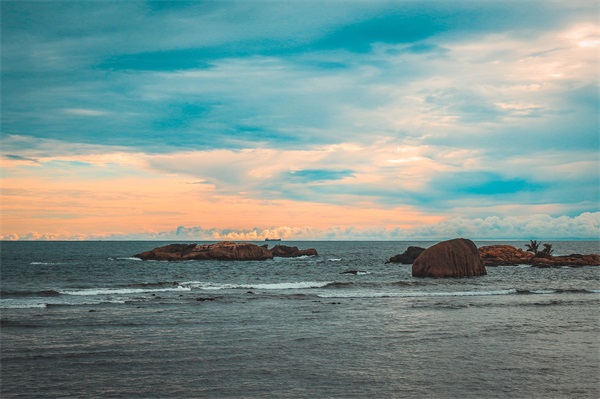 一辈子不换的网名女(共710个)