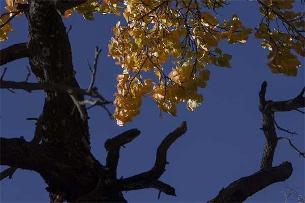 带来运气最好的男生网名昵称(共786个)