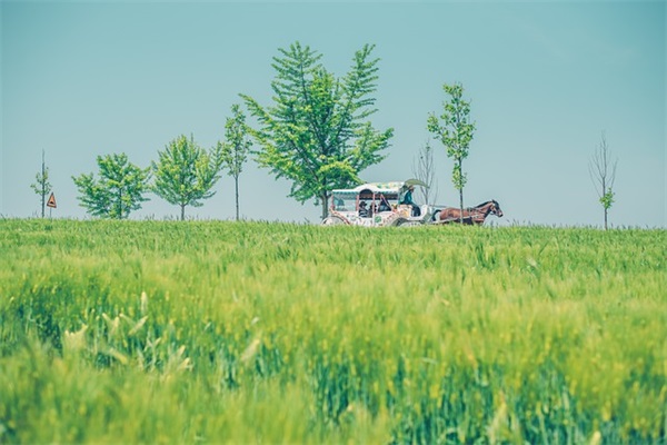 lol好听简短的id(共745个)